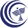 匈牙利多瑙新城大学LOGO