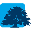 匈牙利IBS国际商学院LOGO