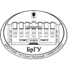 俄罗斯布拉茨克国立大学LOGO